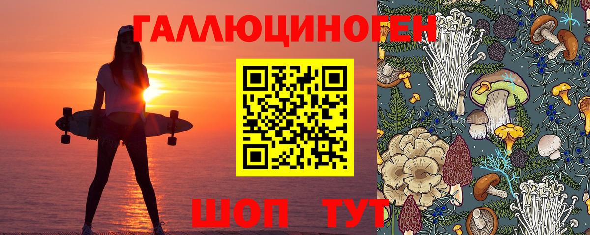 Галлюциногенные грибы Psilocybe Назарово